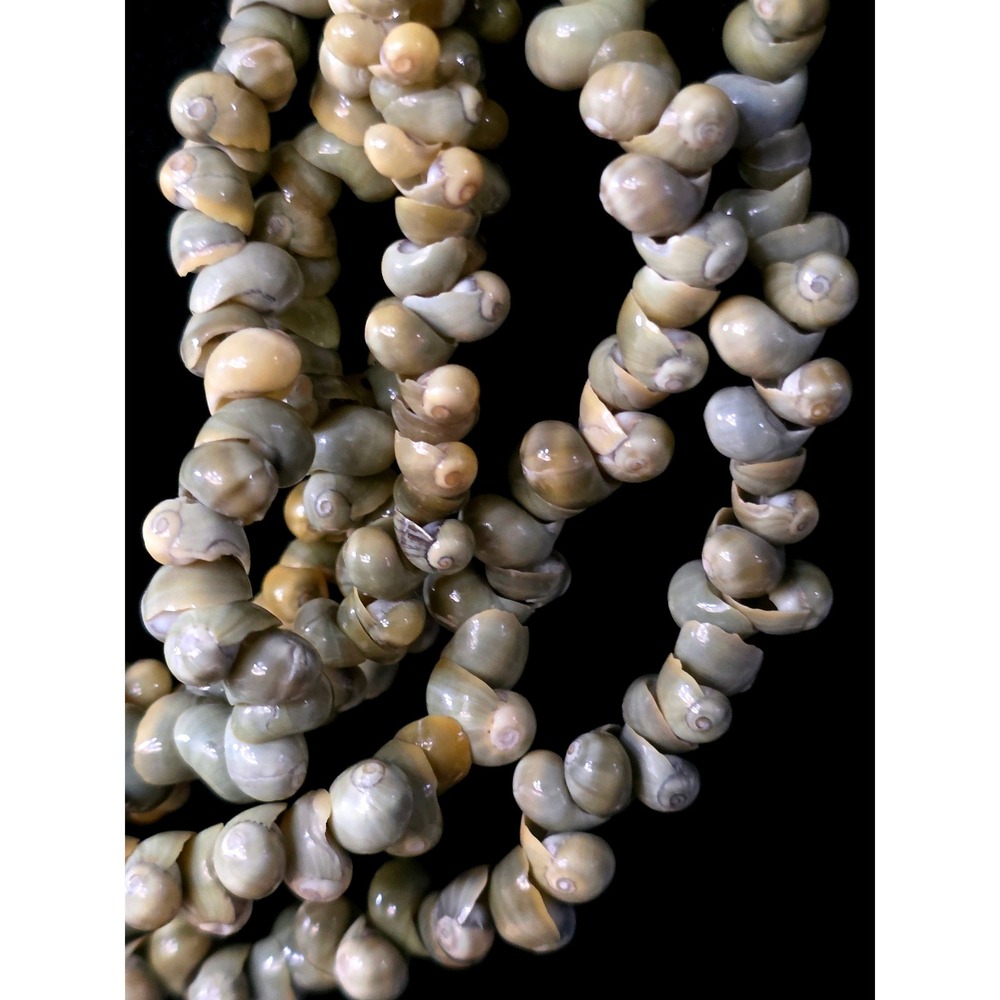 Multi‎ Strand 6 Mini Mongo Shell Necklace Black Seed Bead Accent Olive Green - Picture 2 of 9